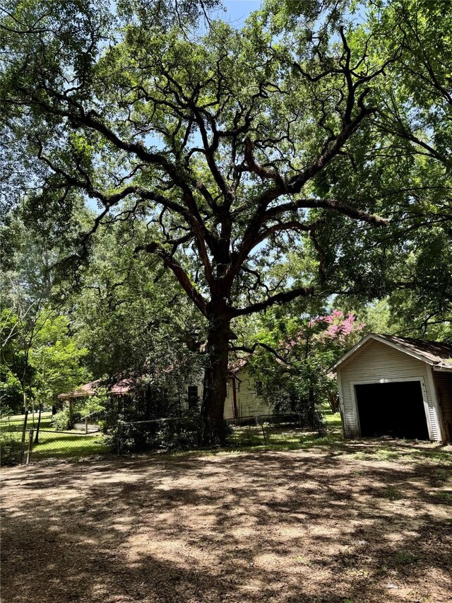 193 Corry Jones, Livingston, TX 77351 - view of yard featuring a detached garage and an outdoor structure
