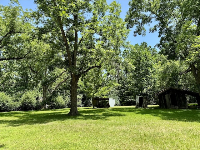 193 Corry Jones, Livingston, TX 77351 - view of green lawn featuring an outbuilding