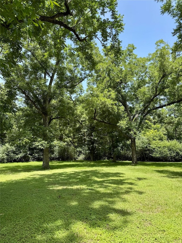 193 Corry Jones, Livingston, TX 77351 - view of green lawn