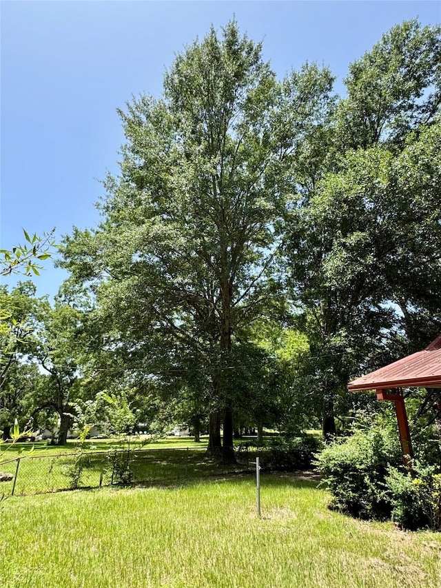 193 Corry Jones, Livingston, TX 77351 - view of yard