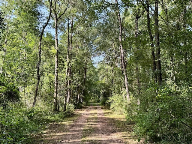11035 Clark St, Conroe, TX 77302