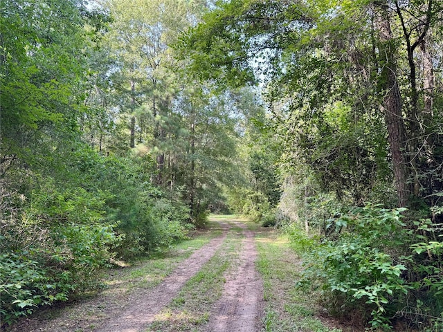 11035 Clark St, Conroe, TX 77302