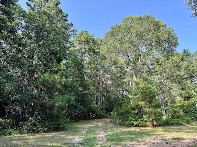 11035 Clark St, Conroe, TX 77302