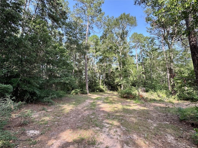 11035 Clark St, Conroe, TX 77302