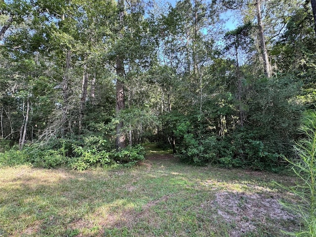 11035 Clark St, Conroe, TX 77302