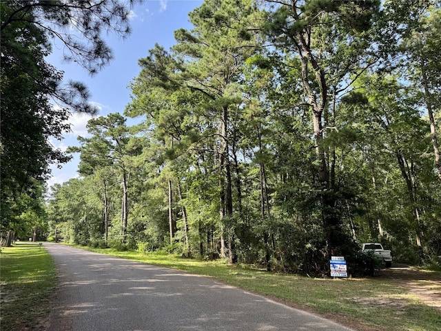 11035 Clark St, Conroe, TX 77302