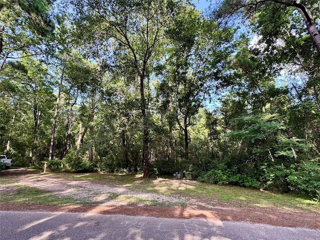 11035 Clark St, Conroe, TX 77302