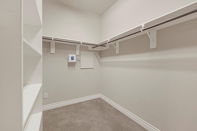 20010 Barrow Edge Ln, Cypress, TX 77433 - spacious closet featuring carpet floors