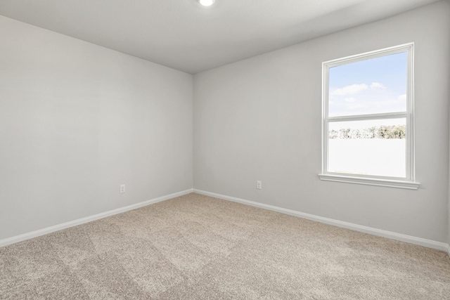 8227 Blooming Meadow Ln, Houston, TX 77016 - photo 5