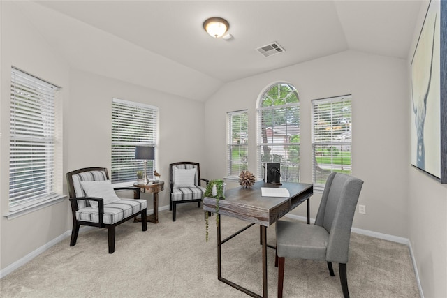 99 E Foxbriar Forest Cir, The Woodlands, TX 77382 - office featuring vaulted ceiling and light colored carpet