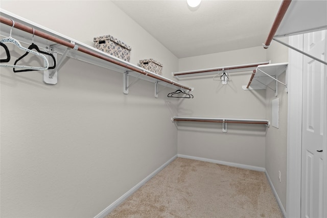 99 E Foxbriar Forest Cir, The Woodlands, TX 77382 - spacious closet featuring carpet flooring