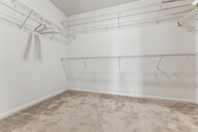 6131 Wilcox Point Dr, Spring, TX 77388 - photo 12