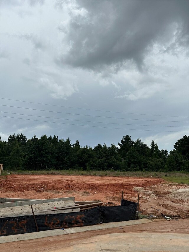 42635 Rustico Rd, Magnolia, TX 77354 - photo 3