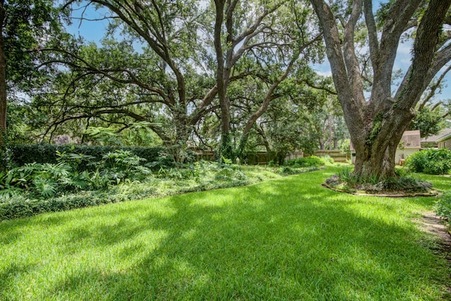 205 Hillcrest Dr, Alvin, TX 77511