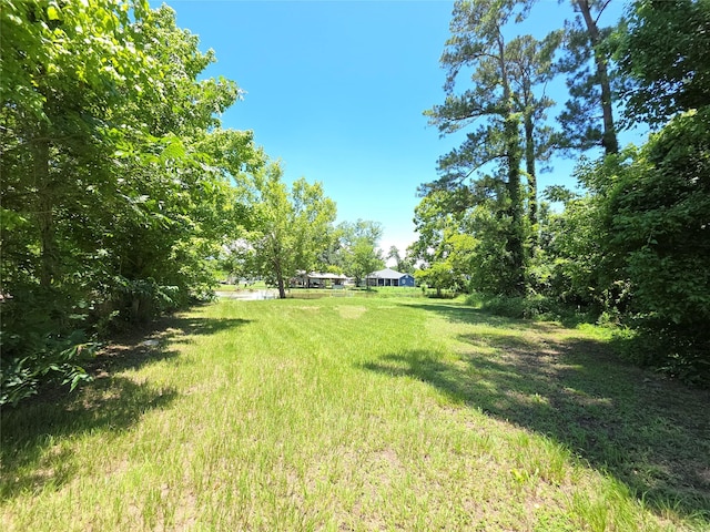 11 Moss Hill Ln, Point Blank, TX 77364 - photo 6