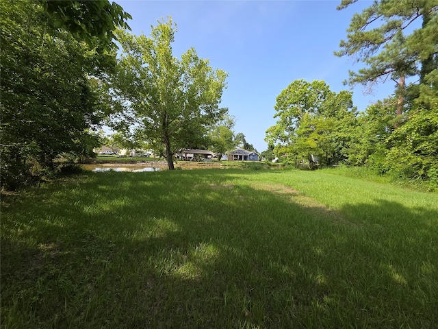 11 Moss Hill Ln, Point Blank, TX 77364 - photo 12
