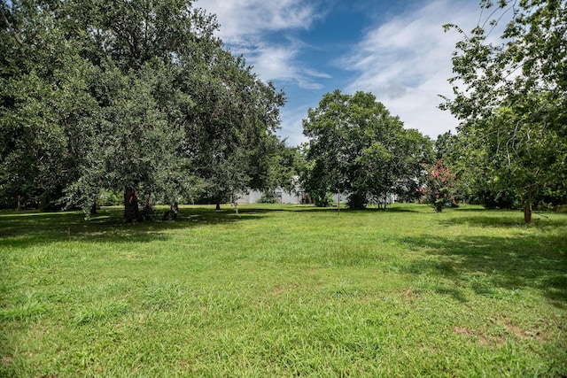 925 Royal Rd, Port Lavaca, TX 77979 - view of grassy yard