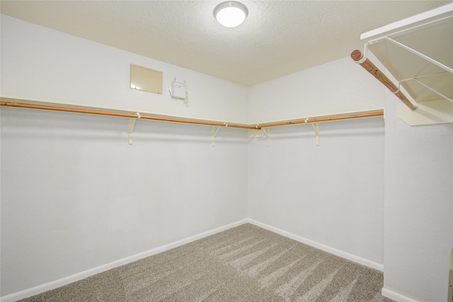 7255 Liberty Mesa Ln, Houston, TX 77049 - spacious closet with carpet flooring