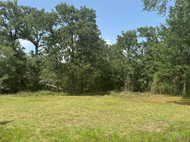 TBDLOT24 Deep Woods Ln, Livingston, TX 77351