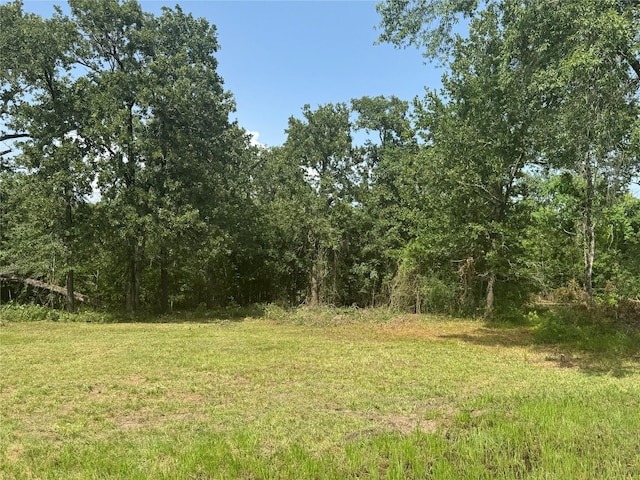 TBDLOT24 Deep Woods Ln, Livingston, TX 77351