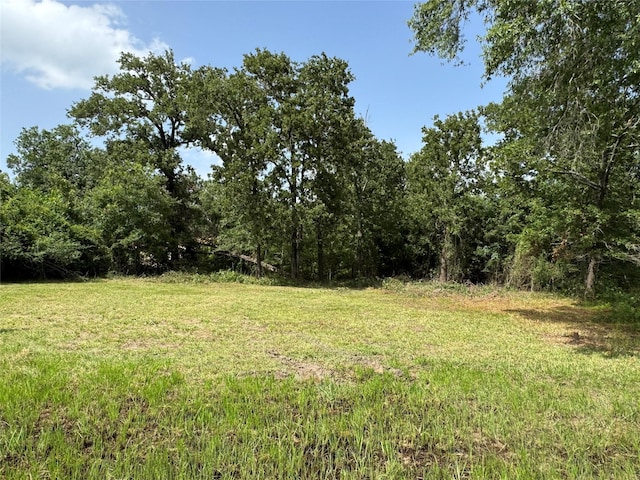 TBDLOT24 Deep Woods Ln, Livingston, TX 77351