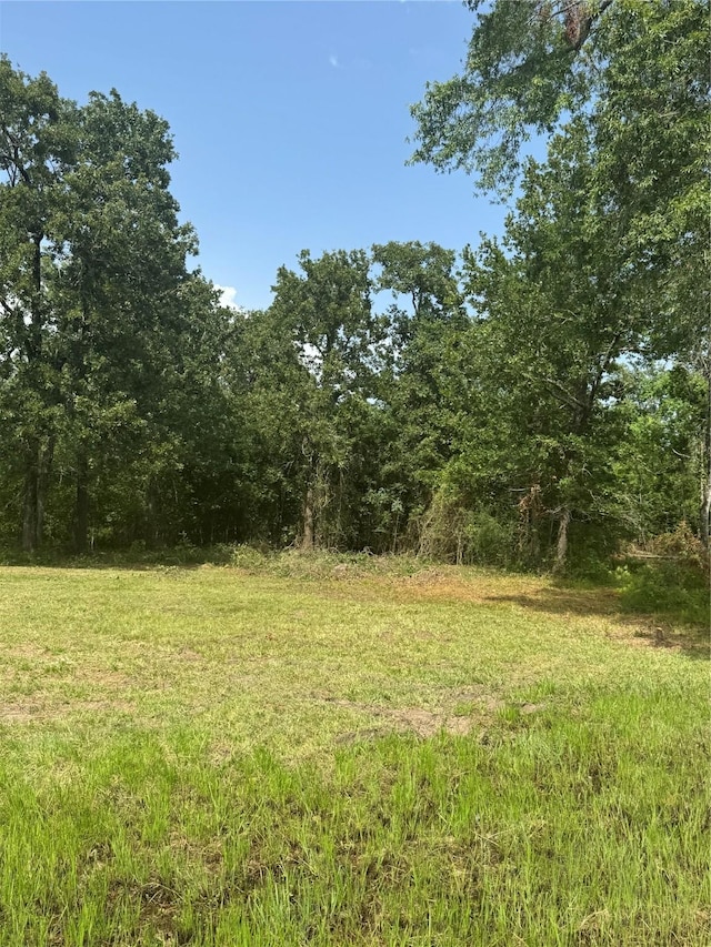 TBDLOT24 Deep Woods Ln, Livingston, TX 77351