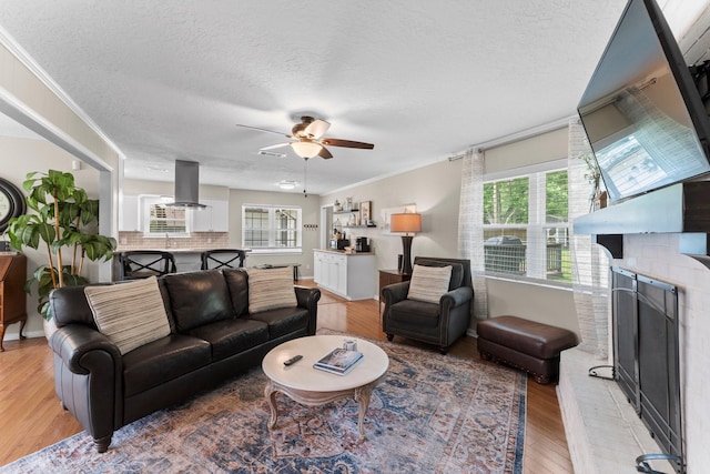 32047 S Wiggins St, Magnolia, TX 77355 - living area with a fireplace, ceiling fan, light wood-style floors, a textured ceiling, and crown molding