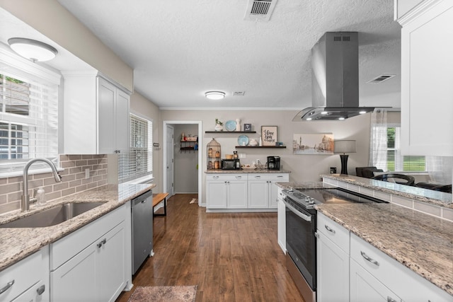 32047 S Wiggins St, Magnolia, TX 77355 - kitchen featuring appliances with stainless steel finishes, island exhaust hood, white cabinetry, tasteful backsplash, and plenty of natural light