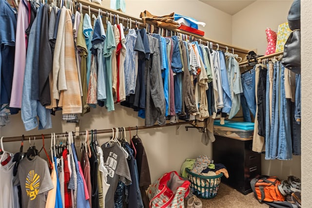18715 Deer Trace Dr, Crosby, TX 77532 - spacious closet featuring carpet