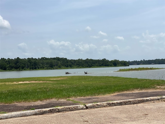 501 Bass Boat Vlg Unit 304, Huntsville, TX 77320 - photo 1