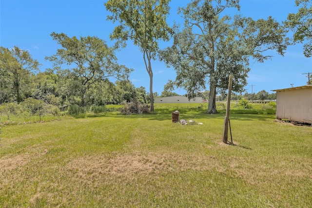 107 S Cochran St, Willis, TX 77378 - photo 24
