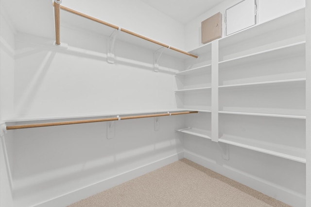 2213 Springwood Vista Ln, Houston, TX 77055 - walk in closet featuring light carpet