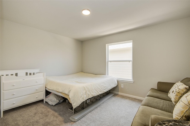 527 Dr Martin Luther King Jr Dr Unit D, La Porte, TX 77571 - bedroom featuring carpet and baseboards