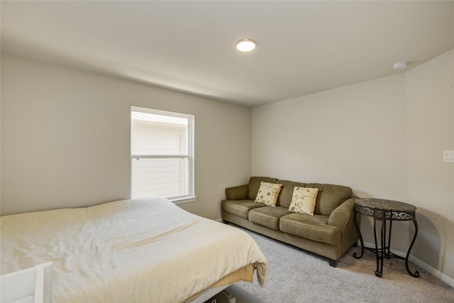 527 Dr Martin Luther King Jr Dr Unit D, La Porte, TX 77571 - bedroom featuring carpet floors and baseboards