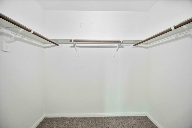 16515 Jasmine Marie Pl, Conroe, TX 77306 - walk in closet featuring carpet floors