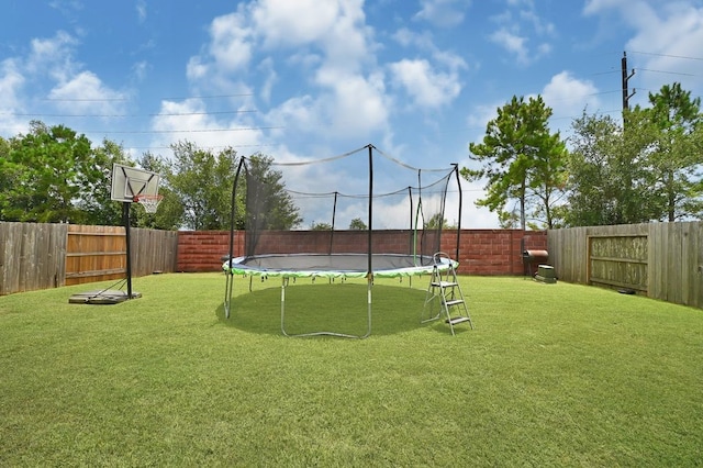 19443 Alton Springs Dr, Cypress, TX 77433 - fenced backyard with a trampoline