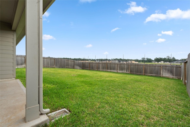24737 Mountain Tree Dr, Magnolia, TX 77355 - photo 23