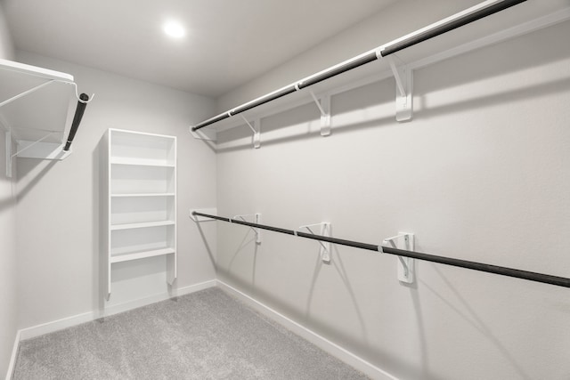 11102 Gardenia Creek Dr, Houston, TX 77044 - spacious closet featuring light carpet
