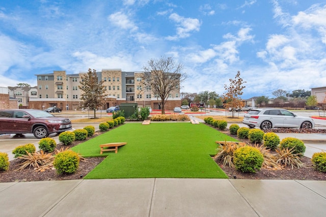 6804 Westview Dr Unit 3405, Houston, TX 77055 - view of green lawn