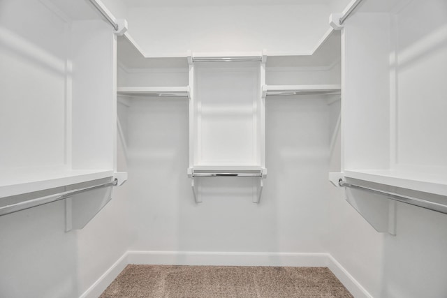 6804 Westview Dr Unit 3405, Houston, TX 77055 - walk in closet with carpet