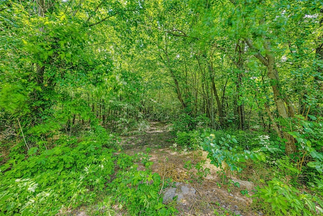 0 Allen Genoa Rd, Houston, TX 77034 - photo 4