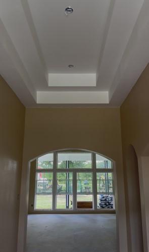 24630 Cavan St, Hempstead, TX 77445 - hall with a tray ceiling and plenty of natural light
