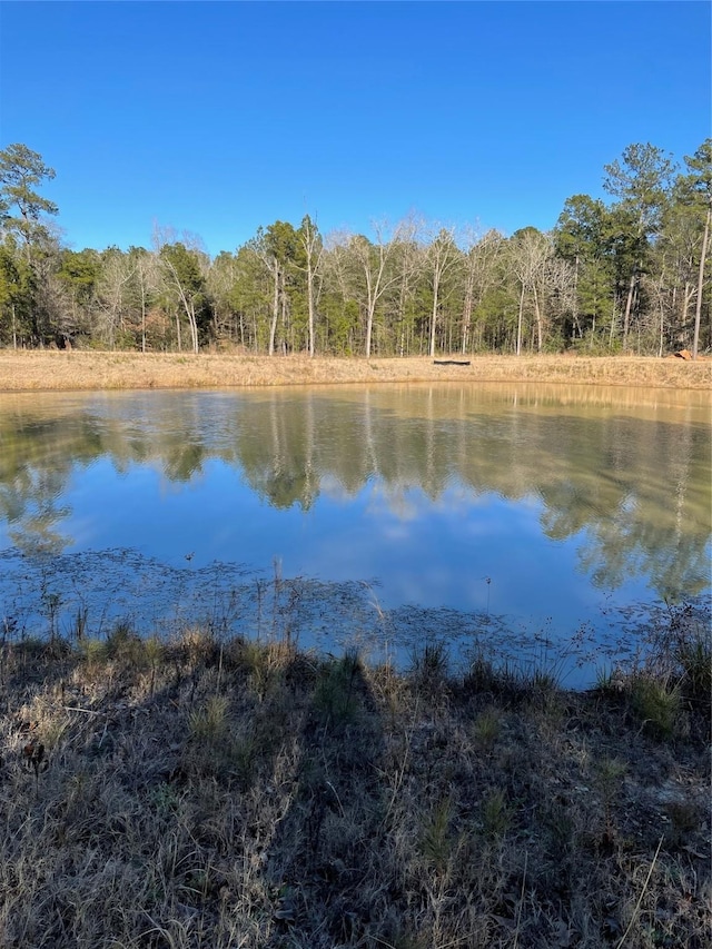 00 Saratoga Woods, Montgomery, TX 77316 - photo 2