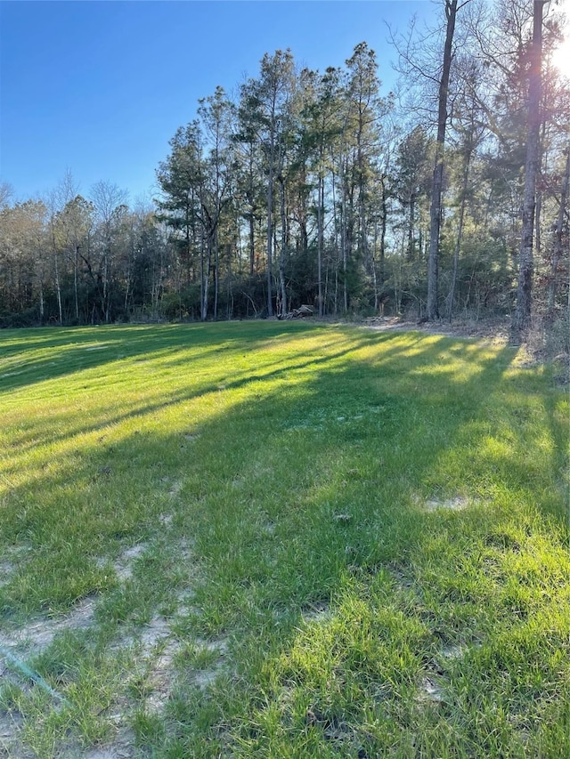 00 Saratoga Woods, Montgomery, TX 77316 - photo 3