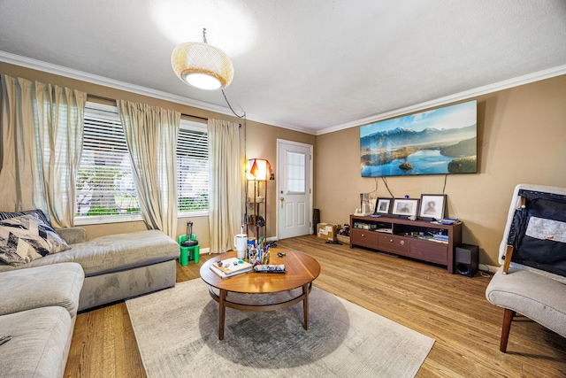 1402 Curtin St, Houston, TX 77018 - photo 4