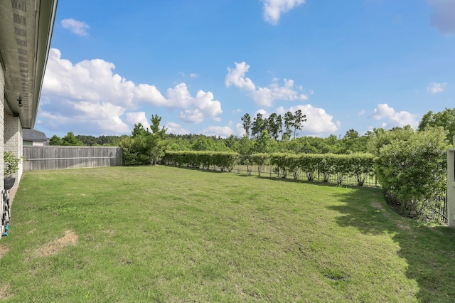 10102 Seaside Alder Dr, Conroe, TX 77385 - photo 22