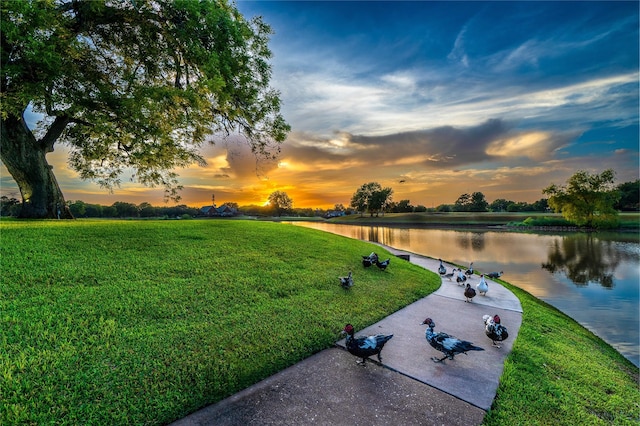 1734 Forestlake Dr, Sugar Land, TX 77479 - view of property's community with a water view and a lawn