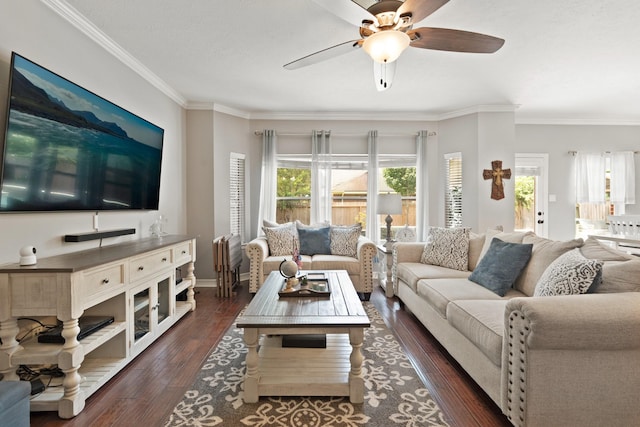 16403 Bogan Flats Ct, Houston, TX 77095 - living room with ceiling fan, crown molding, dark wood-type flooring, and radiator heating unit
