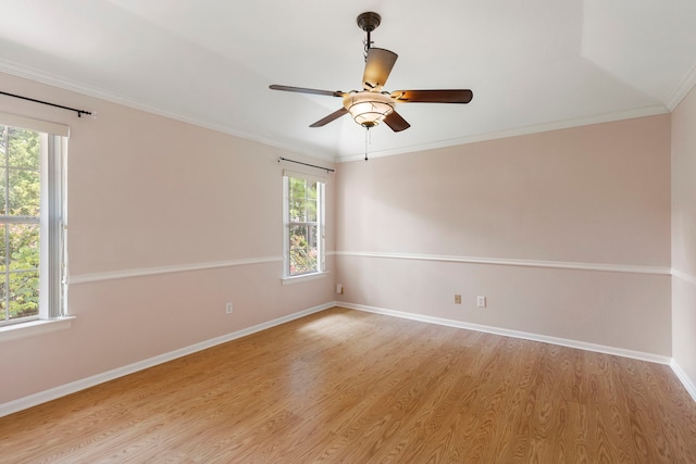 34 Sweetdream Pl, The Woodlands, TX 77381 - unfurnished room featuring plenty of natural light, light wood-style flooring, ceiling fan, and ornamental molding