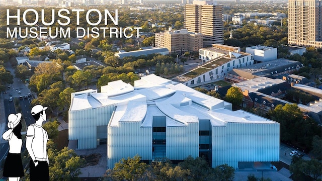 2312 Barbee St, Houston, TX 77004 - photo 37